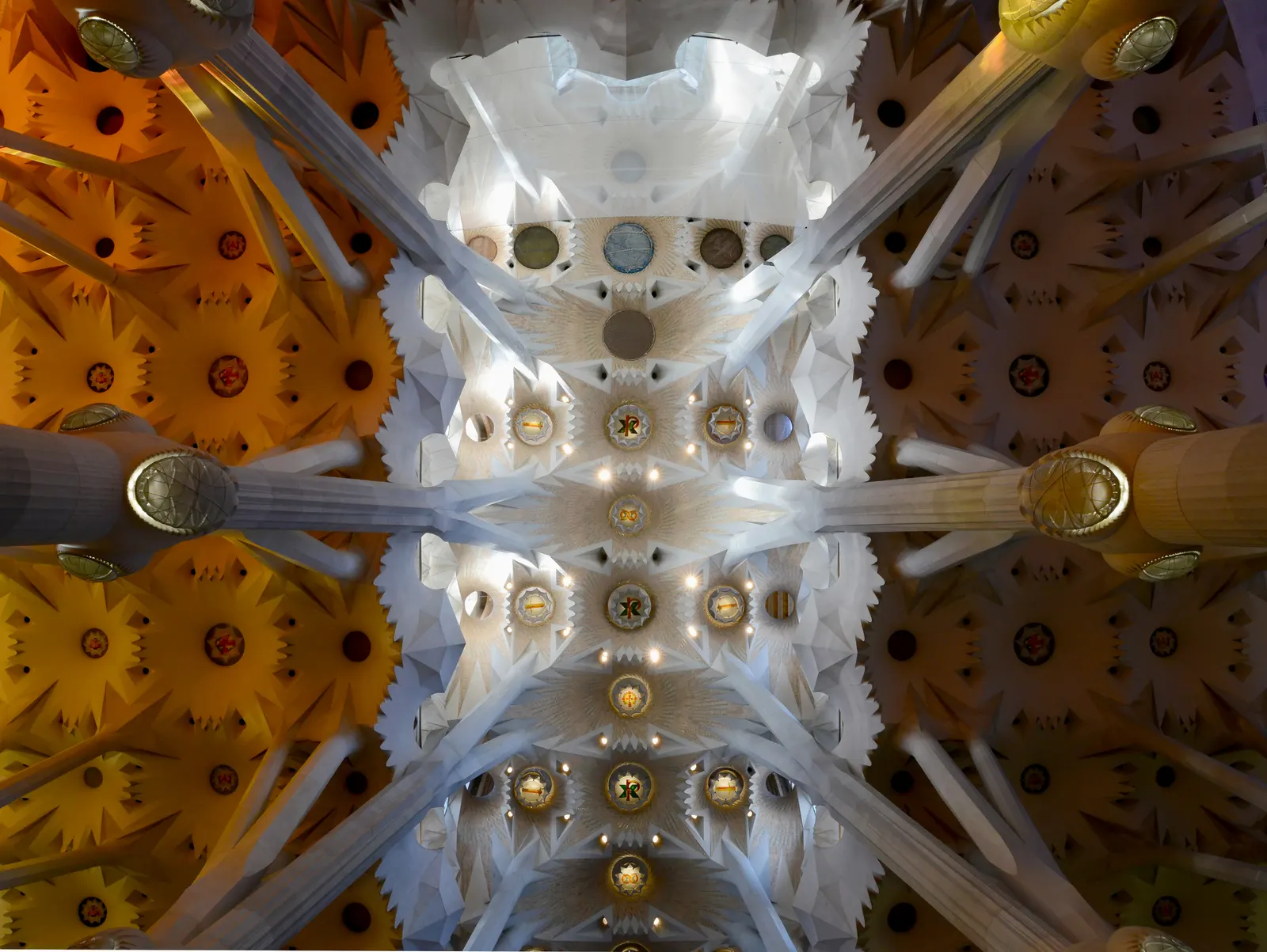 The ceiling of the Sagrada Família, Barcelona.